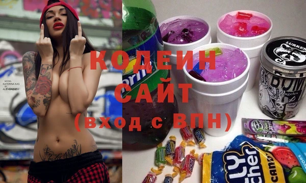 скорость Ельня