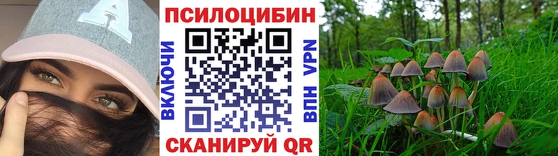 blacksprut рабочий сайт  darknet Telegram  Псилоцибиновые грибы прущие грибы  Саянск 