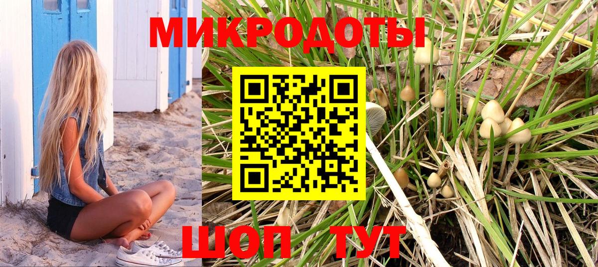 Псилоцибиновые грибы GOLDEN TEACHER Саянск